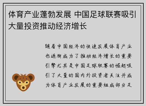 体育产业蓬勃发展 中国足球联赛吸引大量投资推动经济增长